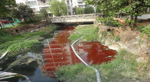 第十五期：温州“红河”事件频发 拷问污染症所在