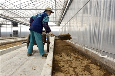 餐厨垃圾撕碎机_人均餐厨垃圾产生量(2)