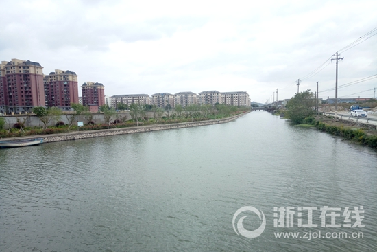 行洪排涝 治水造景 定海盐仓大河水清岸绿已是常态