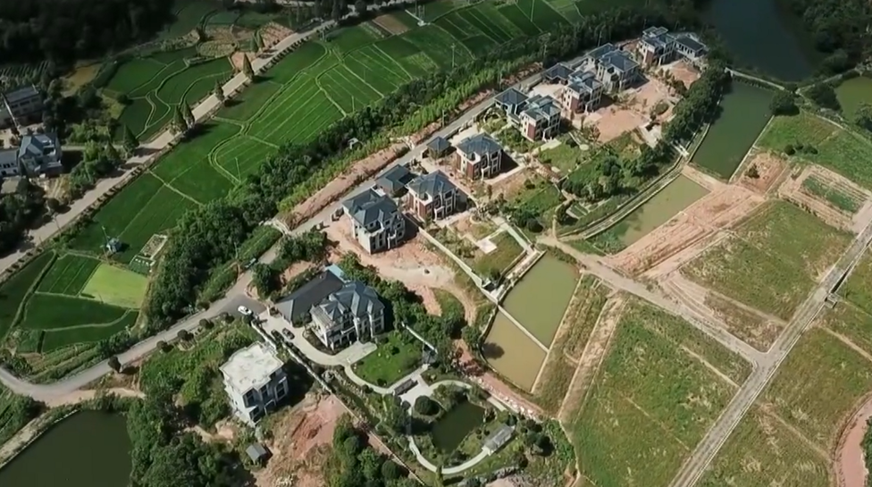 龙游：半爿月村占用林地新建别墅庭院
