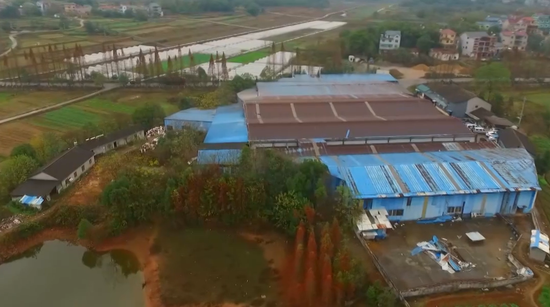 江山：两家企业占用农用地违建厂房